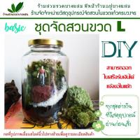 ราคา ชุดจัดสวน ในขวดแก้ว เบสิค ไซต์ L วัสดุอุปกรณ์พร้อมจัด (1543456488)