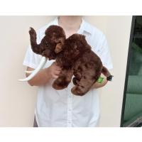 ราคา ตุ๊กตาช้างแมมมอธ ขนนุ่ม Woolly Mammoth Mastadon Ice Age ขนาด 14 นิ้ว ป้าย Wild Republic (26634069403)