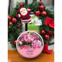 ราคา Banna orchid scrub บ้านนา สครับ กล้วยไม้ 250ml (7442119521)