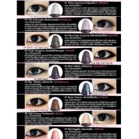 ราคา Cathy Doll Milky Way Gel liner (292675373)