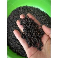 ราคา พริกไทยเม็ด พริกไทยดำ ขนาด 500 กรัม (ครึ่งกิโลไทย) (42254085709)