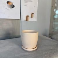 ราคา กระถางดินเผา 3.5 นิ้ว โมเดิร์นทรงสูง 12 ชุด (6077193878)