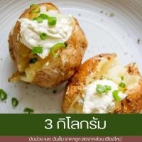 ราคา มันฝรั่งสด [3 กิโลกรัม] อร่อย หวาน มัน มันฝรั่งสดจากไร่ มันฝรั่งมันหวานปลูกในไทยเกษตรอินทรีย์ (28855806126)