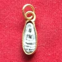 ราคา พระพิจิตรเม็ดข้าวเม่า (2137665950)