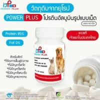 ราคา Power Plus Pure Albumin Tablet Dog Cat อาหารเสริม โปรตีน ชนิดเม็ด สุนัข แมว สำหรับสัตว์เลี้ยง 96g (60 tablets) (26369206205)
