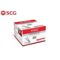 ราคา SCG ตะปูเกลียวยึดกระเบื้องปลายสว่าน สำหรับยึดกระเบื้องซีแพค ขนาด 2.5นิ้ว 250ตัว/กล่อง (21113770747)