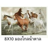 ราคา พร้อมส่ง กระเบื้องชุด ตกแต่งผนัง ภาพมองโกล มองโกลเลีย ขนาด 8x10” จำนวน 8 แผ่น (3469677276)