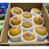 ราคา สาลี่หิมะ จำนวน 6ลูก (23866960397)