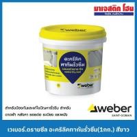 ราคา WEBER เวเบอร์.ดรายซีล อะคริลิคทากันรั่วซึม (1กก.) สีขาว (18889296520)