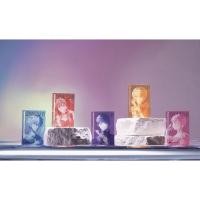 ราคา niko and ... [EVANGELION 30th Anniversary] Limited Edition Acrylic Transparent Cards (5 Designs) (27893791428)