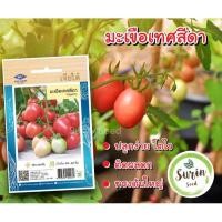 ราคา มะเขือเทศสีดา (630 เมล็ด) เจียไต๋ (3690436731)