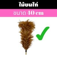 ราคา ไม้ขนไก่ไม้ปัดขนไก่ไม้ปัดรถไม้ปัดฝุ่นขนาด40ซม. (20450406814)