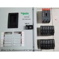 ราคา Schneider QO3-100EZ12G/SN ตู้โหลดเซ็นเตอร์ 12 ช่องพร้อมเมน EZC100H3100 100A 30kA ลูกย่อยครบชุด (22005955490)