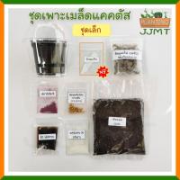 ราคา ชุดเพาะเมล็ดแคคตัส ชุดเล็ก เพาะเมล็ดระบบปิด ***(ไม่มีเมล็ด) (7658022151)