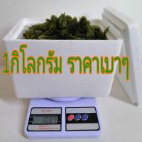ราคา สาหร่ายพวงองุ่น 1กิโลกรัม+น้ำจิ้ม (2073284503)