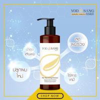 ราคา Yodsang Hair (หยดสังข์แฮร์) แชมพูปลูกผมข้าวสังข์หยด 200ml. ลดผมร่วง กระตุ้นการงอกของผมใหม่ (1127358347)