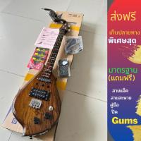 ราคา พิณโปร่งไฟฟ้า3คอนแท็คไม้ขี้เหล็ก (24131579171)