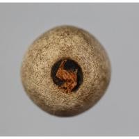 ราคา ลูกอมเทพจินดา เนื้อผงพรายกุมาร หลวงพ่อรัตน์ วัดป่าหวาย จ.ระยอง (20152987599)