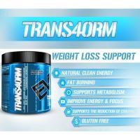 ราคา EVL TRANS4ORM (30Servings) แฟตเบิร์นแบบผงชงทานอร่อย (585044097)