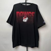 ราคา เสื้อยืดมือสอง oversize ลายมันส๋ ทีมกีฬา แบรนด์ Champion ปักโลโก้แขน Size XXL ไซค์ 2XL อก24(48) ยาว32 สภาพดี (41503858598)