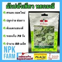 ราคา ศรแดง ผักปลัง หยกมณี จำนวน 50 เมล็ด หมดอายุ เมล็ดพันธุ์ลอตใหม่ งอกดี ปลูกง่าย ต้นแตกแขนงดี ช่อดอกยาว (24090904829)