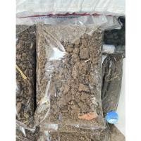 ราคา ขี้วัวแห้ง มลูวัว ปุ๋ยคอกแท้ วัวเลี้ยง (15089496050)