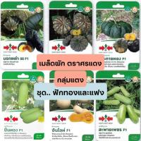 ราคา [ศรแดง][ชุด ฟักทอง แฟง] ผักซองศรแดง เมล็ดพันธุ์ ผัก ศรแดง (8842361976)