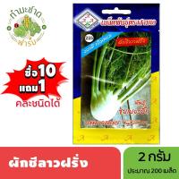 ราคา 3A (ซื้อ10แถม1) เมล็ดพันธุ์ ผักชีลาวฝรั่ง ขนาด 2 กรัม ประมาณ 200 เมล็ด FENNEL FLORENCE ผักชีลาว เมล็ดพันธุ์พืช เมล็ดผัก (20118439210)