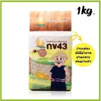 ราคา ข้าวกล้อง กข43 บรรจุ 1 กิโลกรัม ตราไร่พระจันทร์ (ดัชนีน้ำตาลต่ำ) ปลูกโดยวิถีธรรมชาติ ข้าวกล้องกข43 ข้าวกข43 ข้าวสาร (2966595171)