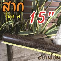 ราคา สากไม้ตาล ยาว15นิ้ว ใช้กับครกขนาดใหญ่ ร้านส้มตำ หนักกว่าไม้ชนิดอื่น ออกแรงน้อยกว่าลวดลายสวยงามแข็งแรงเหมาะกับครกทุกแบบ (7738169863)
