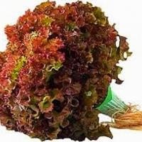 ราคา เรด คอรัล red coral (RAVITA) Hi-Q 1000 pills (เคลือบ) (28392691131)