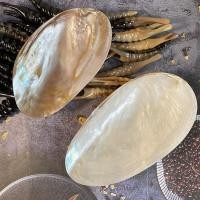 ราคา เปลือกมุกจานผลไม้ตกแต่งภาพเครื่องประดับวางแผ่นเปลือกหอยขนาดใหญ่จานผลไม้เปลือกงานฝีมือ (57753744372)