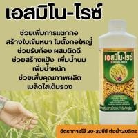 ราคา เอสมิโนไรซ์(อะมิโนแอซิด)ขนาด1ลิตร (24814469689)