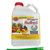 ราคา พันทิพย์ ฮอร์โมนพืช ตราหวีทอง น้ำขาว (ขนาด 5 ลิตร) (20502479822)