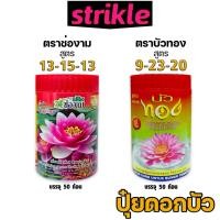 ราคา ปุ๋ยเร่งดอกบัว บัวทอง / ช่องาม เพิ่มดอกใหญ่ สีสด ใบเขียวเข้ม บำรุงต้นดี แตกหน่อเร็ว เหมาะกับบัวหลวง บัวสาย และบัวทุกชนิด (54651720054)