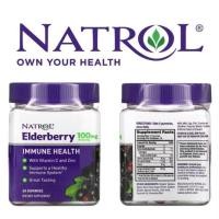 ราคา Natrol Elderberry 100mg Immune Health 60 Gummies (29468195301)
