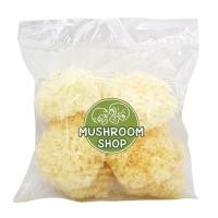 ราคา เห็ดหูหนูขาว เห็ดหูหนูขาวแห้ง ขนาด 300 กรัม (10072875453)