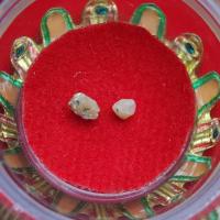 ราคา พระธาตุ หลวงปูกง โฆสโก วัดพระธาตุเชิงชุมวรวิหาร (รหัส E9/1) (42507910769)