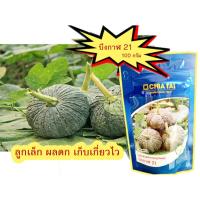 ราคา เมล็ดฟักทองบึงกาฬ21 (100กรัม) เมล็ดพันธุ์ฟักทอง เมล็ดฟักทอง ผลดก ตราเจียไต๋ (8532014610)