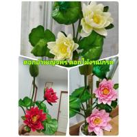 ราคา ดอกบัว พร้อมส่ง (ต้นดอกบัวช่อ ดอกบัวเบญจพร มีให้เลือก3สีแต่งกบช่อใหญ่1ช่อมี 7 ก้าน 3ดอก 4ใบ ดอกบัว ดอกบัวปลอม ดอกบัวบูชา (25081300424)