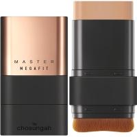 ราคา Chosungahtm Mega Fit Stick Foundation Master SPF50+ PA++++ 16g (28609607612)