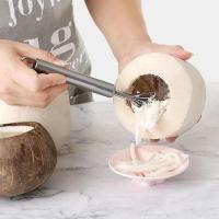 ราคา เครื่องคว้านเนื้อมะพร้าว สแตนเลส ที่ขูดมะพร้าว เป็นเส้น สำหรับใช้ในครัวบ้าน เครื่องปอกมะพร้าว ใช้งานได้ทันที (27690187596)