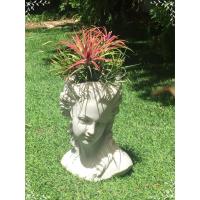 ราคา กระถางต้นไม้ ปูนปั้น 2 in 1 ใช้ปลูกต้นไม้ หรือใช้เป็นตุ๊กตาประดับตกแต่งมุมต่างๆ ของบ้าน หรือสวน (4256085341)