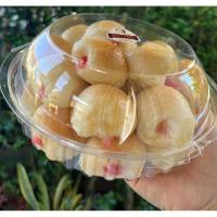 ราคา ☕️ขนมปังแลบลิ้น 25 ชิ้น✨ครูต้อยเบเกอรี่ (5633830400)