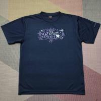 ราคา เสื้อกีฬา Wilson size L รอบอก 42.5" มือสอง สภาพดี (27805895884)