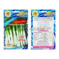 ราคา เมล็ดต้นกระเทียม พันธุ์ศรีโทน รหัส KTA5411 (25204328527)