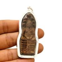 ราคา จี้พระ นาคปรก กรุนางตรา จังหวัดนครศรีธรรมราช พุทธคุณด้านมงคลมหาอุดม์ เลี่ยมกรอบเงินไมครอนอย่างดี (25713705206)