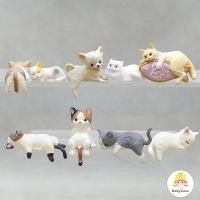 ราคา น่ารัก 3d แมวสุนัขตุ๊กตาสร้างสรรค์และแฟชั่นตกแต่งสนุกและแมวตลก 3d ตุ๊กตาหวานและน่ารักแมวเคสโทรศัพท์ตุ๊กตา (46450818152)