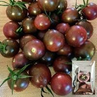 ราคา เมล็ดพันธุ์มะเขือเทศช็อกโกแลตChocolate Tomato บรรจุ 30 เมล็ด 100 บาท (4685357241)