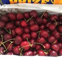 ราคา เชอร์รี่ USA ตราถ้วยทอง เบอร์ 8.5 (7241772020)